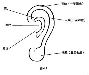 耳形相學|金自在相面秘訣——耳朵篇